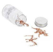 Load image into Gallery viewer, Dino Fossils in a Jar!