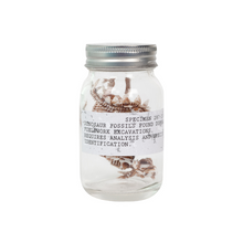 Load image into Gallery viewer, Dino Fossils in a Jar!