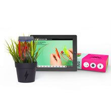 Load image into Gallery viewer, Solar Plant Kit