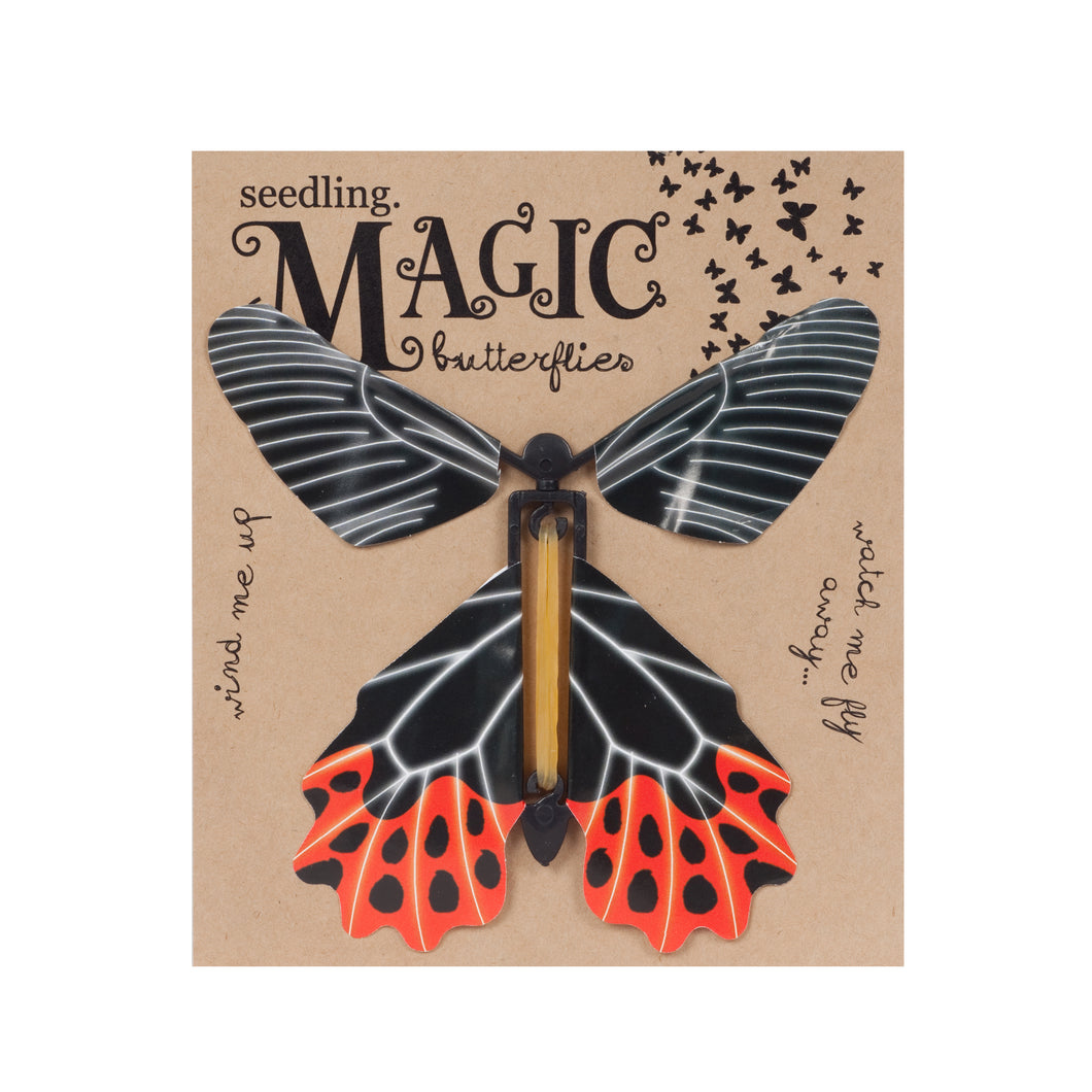 Magic Butterflies