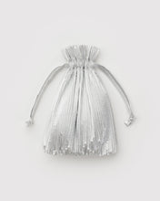 Load image into Gallery viewer, NEW! Pleated Baggu / Chrome Metallic
