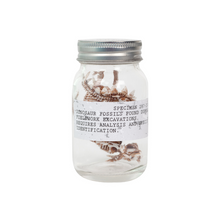 Load image into Gallery viewer, Dino Fossils in a Jar!
