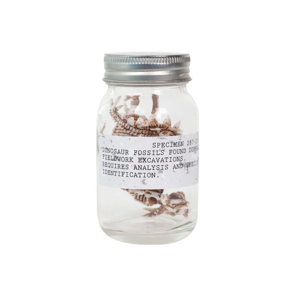 Dino Fossils in a Jar!