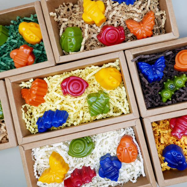Minibeast Crayon Set